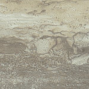 Fossil Layer Travertine