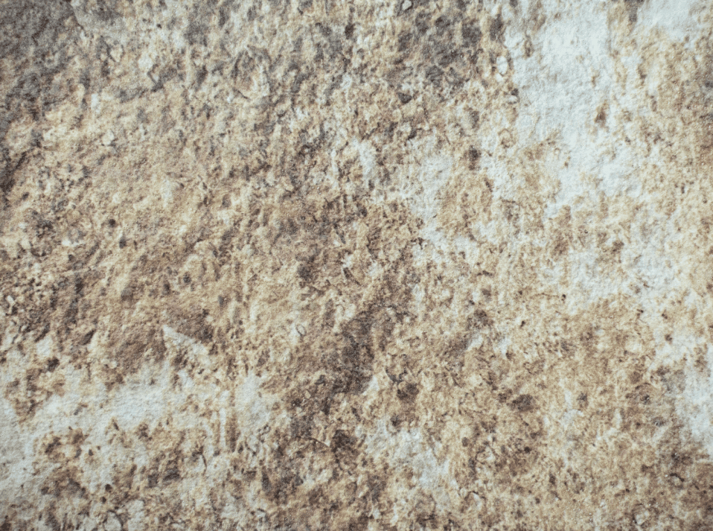 Salmani Blend